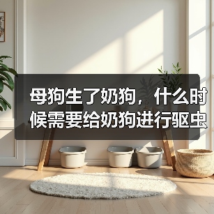 母狗生了奶狗,什么时候需要给奶狗进行驱虫?(驱虫时间的重要性及建议)(图3) 母狗生了奶狗,什么时候需要给奶狗进行驱虫?(驱虫时间的重要性及建议)(图3)