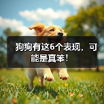 狗狗有这6个表现,可能是真笨!(图2) 狗狗有这6个表现,可能是真笨!(图2)