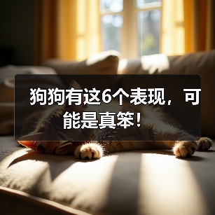 狗狗有这6个表现，可能是真笨！ - 新生家伴