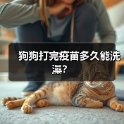狗狗打完疫苗多久能洗澡?(图4) 狗狗打完疫苗多久能洗澡?(图4)