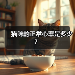 猫咪的正常心率是多少?(图3) 猫咪的正常心率是多少?(图3)