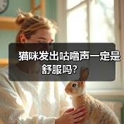 猫咪发出咕噜声一定是舒服吗?(图4) 猫咪发出咕噜声一定是舒服吗?(图4)