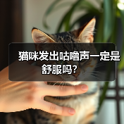 猫咪发出咕噜声一定是舒服吗?(图3) 猫咪发出咕噜声一定是舒服吗?(图3)