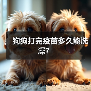 狗狗打完疫苗多久能洗澡？ - 新生家伴