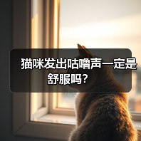 猫咪发出咕噜声一定是舒服吗?(图2) 猫咪发出咕噜声一定是舒服吗?(图2)
