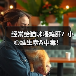 经常给猫咪喂鸡肝？小心维生素A中毒！(图2)