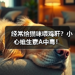 经常给猫咪喂鸡肝？小心维生素A中毒！(图4)