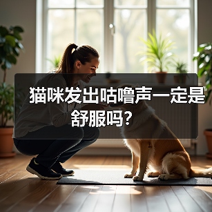 猫咪发出咕噜声一定是舒服吗？ - 新生家伴