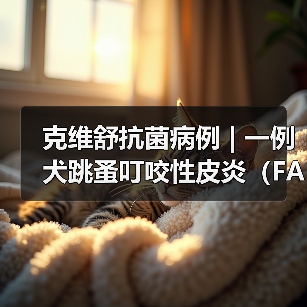 克维舒抗菌病例 | 一例犬跳蚤叮咬性皮炎（FAD）的病例分析 - 新生家伴