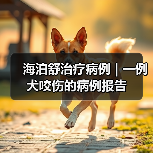海泊舒治疗病例 | 一例犬咬伤的病例报告(图3) 海泊舒治疗病例 | 一例犬咬伤的病例报告(图3)