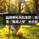 瑞辰宠物医院集团 | 第3周“每周之星”光荣榜(图4) 瑞辰宠物医院集团 | 第3周“每周之星”光荣榜(图4)
