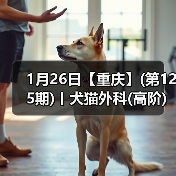 1月26日【重庆】(第125期)丨犬猫外科(高阶)班!含SUB(人人可实操)、乳糜胸等技术!(图3) 1月26日【重庆】(第125期)丨犬猫外科(高阶)班!含SUB(人人可实操)、乳糜胸等技术!(图3)
