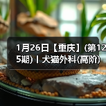 1月26日【重庆】(第125期)丨犬猫外科(高阶)班！含SU - 新生家伴