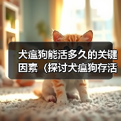 犬瘟狗能活多久的关键因素（探讨犬瘟狗存活时间的决定因素和延长 - 新生家伴