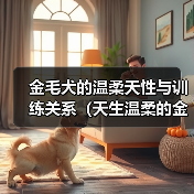 金毛犬的温柔天性与训练关系(天生温柔的金毛犬也可能变成恶犬?解密训练的关键)(图2) 金毛犬的温柔天性与训练关系(天生温柔的金毛犬也可能变成恶犬?解密训练的关键)(图2)