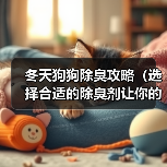 冬天狗狗除臭攻略（选择合适的除臭剂让你的狗狗远离异味） - 新生家伴