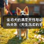 金毛犬的温柔天性与训练关系(天生温柔的金毛犬也可能变成恶犬?解密训练的关键)(图4) 金毛犬的温柔天性与训练关系(天生温柔的金毛犬也可能变成恶犬?解密训练的关键)(图4)