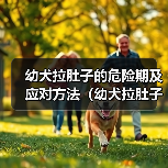 幼犬拉肚子的危险期及应对方法(幼犬拉肚子的时间节点与关键阶段,养犬人必须掌握)(图4) 幼犬拉肚子的危险期及应对方法(幼犬拉肚子的时间节点与关键阶段,养犬人必须掌握)(图4)