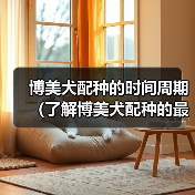 博美犬配种的时间周期(了解博美犬配种的最佳时间和注意事项)(图3) 博美犬配种的时间周期(了解博美犬配种的最佳时间和注意事项)(图3)