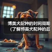 博美犬配种的时间周期(了解博美犬配种的最佳时间和注意事项)(图4) 博美犬配种的时间周期(了解博美犬配种的最佳时间和注意事项)(图4)