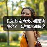 以边牧定点大小便要训多久？（边牧犬训练之解决大小便问题的时间 - 新生家伴