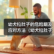 幼犬拉肚子的危险期及应对方法（幼犬拉肚子的时间节点与关键阶段 - 新生家伴