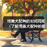 博美犬配种的时间周期（了解博美犬配种的最佳时间和注意事项） - 新生家伴