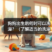狗狗出生后何时可以洗澡?(了解适当的洗澡时机,保护宝贝的健康和舒适)(图4) 狗狗出生后何时可以洗澡?(了解适当的洗澡时机,保护宝贝的健康和舒适)(图4)