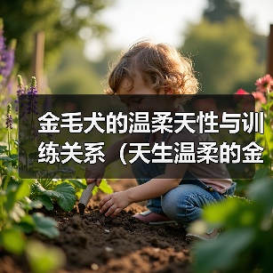 金毛犬的温柔天性与训练关系(天生温柔的金毛犬也可能变成恶犬?解密训练的关键)(图3) 金毛犬的温柔天性与训练关系(天生温柔的金毛犬也可能变成恶犬?解密训练的关键)(图3)