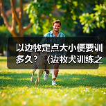 以边牧定点大小便要训多久?(边牧犬训练之解决大小便问题的时间和方法)(图3) 以边牧定点大小便要训多久?(边牧犬训练之解决大小便问题的时间和方法)(图3)