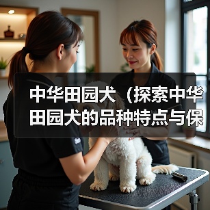 中华田园犬(探索中华田园犬的品种特点与保护现状)(图2) 中华田园犬(探索中华田园犬的品种特点与保护现状)(图2)