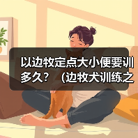 以边牧定点大小便要训多久?(边牧犬训练之解决大小便问题的时间和方法)(图4) 以边牧定点大小便要训多久?(边牧犬训练之解决大小便问题的时间和方法)(图4)
