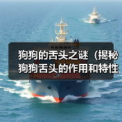 狗狗的舌头之谜（揭秘狗狗舌头的作用和特性） - 新生家伴