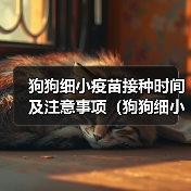狗狗细小疫苗接种时间及注意事项(狗狗细小疫苗接种时间的关键信息)(图2) 狗狗细小疫苗接种时间及注意事项(狗狗细小疫苗接种时间的关键信息)(图2)