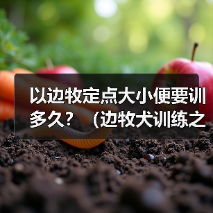 以边牧定点大小便要训多久?(边牧犬训练之解决大小便问题的时间和方法)(图2) 以边牧定点大小便要训多久?(边牧犬训练之解决大小便问题的时间和方法)(图2)