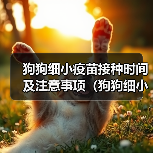狗狗细小疫苗接种时间及注意事项(狗狗细小疫苗接种时间的关键信息)(图3) 狗狗细小疫苗接种时间及注意事项(狗狗细小疫苗接种时间的关键信息)(图3)