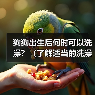 狗狗出生后何时可以洗澡?(了解适当的洗澡时机,保护宝贝的健康和舒适)(图2) 狗狗出生后何时可以洗澡?(了解适当的洗澡时机,保护宝贝的健康和舒适)(图2)