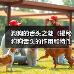 狗狗的舌头之谜(揭秘狗狗舌头的作用和特性)(图4) 狗狗的舌头之谜(揭秘狗狗舌头的作用和特性)(图4)