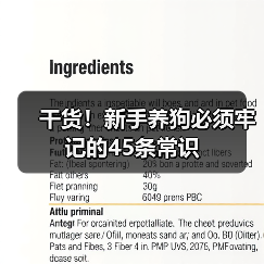 干货！新手养狗必须牢记的45条常识 - 新生家伴