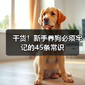 干货!新手养狗必须牢记的45条常识(图3) 干货!新手养狗必须牢记的45条常识(图3)