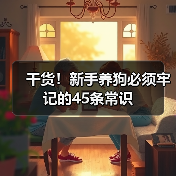 干货!新手养狗必须牢记的45条常识(图2) 干货!新手养狗必须牢记的45条常识(图2)
