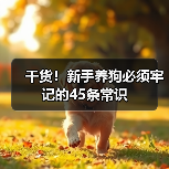 干货!新手养狗必须牢记的45条常识(图4) 干货!新手养狗必须牢记的45条常识(图4)