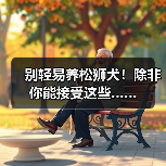 别轻易养松狮犬！除非你能接受这些…… - 新生家伴