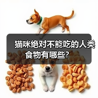 猫咪绝对不能吃的人类食物有哪些?(图4) 猫咪绝对不能吃的人类食物有哪些?(图4)