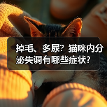 掉毛、多尿?猫咪内分泌失调有哪些症状?(图4) 掉毛、多尿?猫咪内分泌失调有哪些症状?(图4)