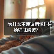 为什么不建议用塑料碗给猫咪喂饭?(图2) 为什么不建议用塑料碗给猫咪喂饭?(图2)