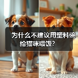 为什么不建议用塑料碗给猫咪喂饭?(图3) 为什么不建议用塑料碗给猫咪喂饭?(图3)