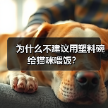 为什么不建议用塑料碗给猫咪喂饭?(图4) 为什么不建议用塑料碗给猫咪喂饭?(图4)