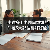 小猫身上老是臭烘烘的？这5大部位得好好检查！ - 新生家伴