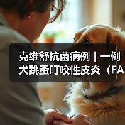克维舒抗菌病例 | 一例犬跳蚤叮咬性皮炎（FAD）的病例分析(图3)